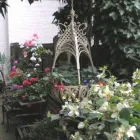 Business 2 image FLORISTS AT THE SWAN Florists in Billingham Cl
