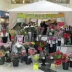 Business 7 image FLOWER BOX Florists in Chester Ch