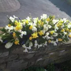 Business 12 image FLOWERS BY GLEN Florists in Huddersfield We