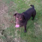 Business 6 image FORCE FITNESS LTD Personal Trainers in FAREHAM Ha