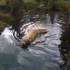 Business 7 image FORCE FITNESS LTD Personal Trainers in FAREHAM Ha