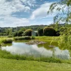 Business 1 image FORDS GARDEN BUILDINGS Home & Garden in Gloucester Gl