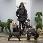 Business 4 image FOUR SEASONS HEALTH CARE LTD Nursing Homes in Preston La