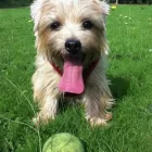 Business 1 image FOUR SEASONS HEALTH CARE LTD Nursing Homes in Preston La