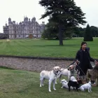 Business 2 image FOUR SEASONS HEALTH CARE LTD Nursing Homes in Preston La