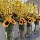 Business 4 image FROG FLOWERS Florists in Manchester La