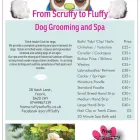 Business 19 image FROM SCRUFFY TO FLUFFY Veterinary Services in Yeovil So