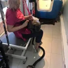 Business 41 image FROM SCRUFFY TO FLUFFY Veterinary Services in Yeovil So