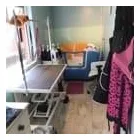 Business 56 image FROM SCRUFFY TO FLUFFY Veterinary Services in Yeovil So