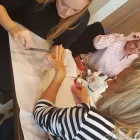 Business 220 image FUTURE IN BEAUTY NAIL TECHNICIAN COURSES IPSWICH Schools in IPSWICH Su