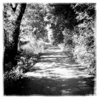 Business 3 image G S AUTOS Garage Services in Newport Is