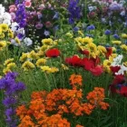 Business 1 image GARDEN SERVICES PORTSMOUTH Landscapers in FAREHAM Ha