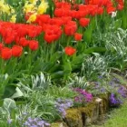 Business 2 image GARDEN SERVICES PORTSMOUTH Landscapers in FAREHAM Ha