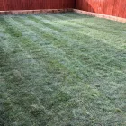 Business 9 image GARDENS OF GRACE LANDSCAPES LIMITED Turf Suppliers in Peterlee Co