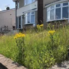 Business 16 image GARDENS OF GRACE LANDSCAPES LIMITED Turf Suppliers in Peterlee Co