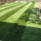 Business 20 image GARDENS OF GRACE LANDSCAPES LIMITED Turf Suppliers in Peterlee Co