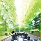 Business 2 image GAS MOTORCYCLE COURIERS Passport & Visa Services in Sheffield So