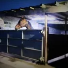 Business 2 image GECKO ENERGY LTD Wind Turbines in Barnstaple De