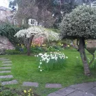 Business 6 image GEOFF SCOTTON CHARTERED ACCOUNTANT Bookkeeping Services in Weybridge Su