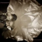 Business 7 image GERRY MULLIGAN PHOTOGRAPHY General Photographers in Newry Co