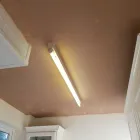 Business 26 image GET SKIMMED Waterproofing Contractors in WILLENHALL We