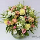 Business 8 image GINGER LILY FLORAL DESIGN Travel & Tourism in Brighton Ea