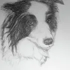 Business 8 image GLIMPSE BUSINESS SOLUTIONS Secretarial Services in Lydney Gl