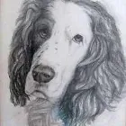 Business 1 image GLIMPSE BUSINESS SOLUTIONS Secretarial Services in Lydney Gl