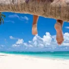 Business 4 image GO2ANYPLACE Travel Agents in Prestwick Ay