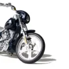 Business 4 image GOODENOUGH PLANTS/FLOWERS Florists in ILFRACOMBE De