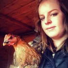 Business 1 image GOWALKIES PET SERVICES Dog Walking in Southport Me