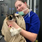Business 12 image GRANGE VETERINARY SURGERY Veterinary Services in Stockton-On-Tees Cl