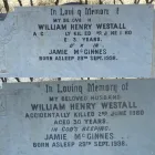 Business 2 image GRAVECARE LIVERPOOL Stone Cleaners & Restorers in Liverpool Me
