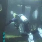 Business 2 image GREEN ENERGY (FELIXSTOWE) LTD Solar Energy in Felixstowe Su