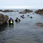 Business 3 image GREEN ENERGY (FELIXSTOWE) LTD Solar Energy in Felixstowe Su