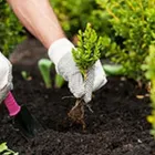 Business 3 image GREEN MACHINE General Contractors in Haywards Heath We