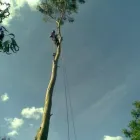 Business 5 image GREENWALK PHYSIOTHERAPY CLINIC Acupuncture in Manchester La