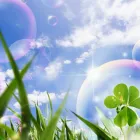 Business 2 image GREG'S CLEANING SERVICES Domestic Cleaning in Leeds We