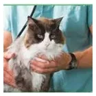 Business 3 image GREYROCK ENERGY LTD Consulting Engineers in Aberdeen Ab