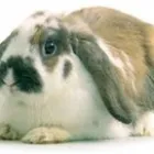 Business 4 image GREYROCK ENERGY LTD Consulting Engineers in Aberdeen Ab