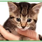 Business 5 image GREYROCK ENERGY LTD Consulting Engineers in Aberdeen Ab