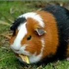 Business 1 image GREYROCK ENERGY LTD Consulting Engineers in Aberdeen Ab