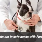 Business 2 image GREYROCK ENERGY LTD Consulting Engineers in Aberdeen Ab