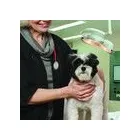 Business 1 image GROVE VETERINARY CENTRE LTD Vets in Barrow-In-Furness Cu