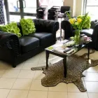 Business 3 image HAIR JUNGLE Hairdressers in Plymouth De
