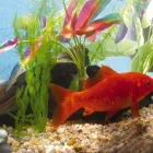 Business 2 image HALIFAX Banks & Financial Institutions in Preston La