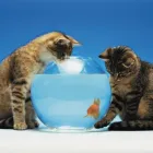 Business 3 image HALIFAX Banks & Financial Institutions in Preston La