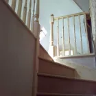 Business 8 image HAMEWITH LODGE CARE HOME Nursing Homes in Aberdeen Ab