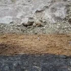 Business 1 image HAMPSHIRE WOODWORM Wood Treatment & Preservation in PORTSMOUTH Ha