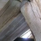 Business 2 image HAMPSHIRE WOODWORM Wood Treatment & Preservation in PORTSMOUTH Ha